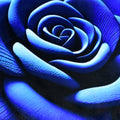Rose Shaped Anti-slip Velvet Floor Mat (1 Pc)
